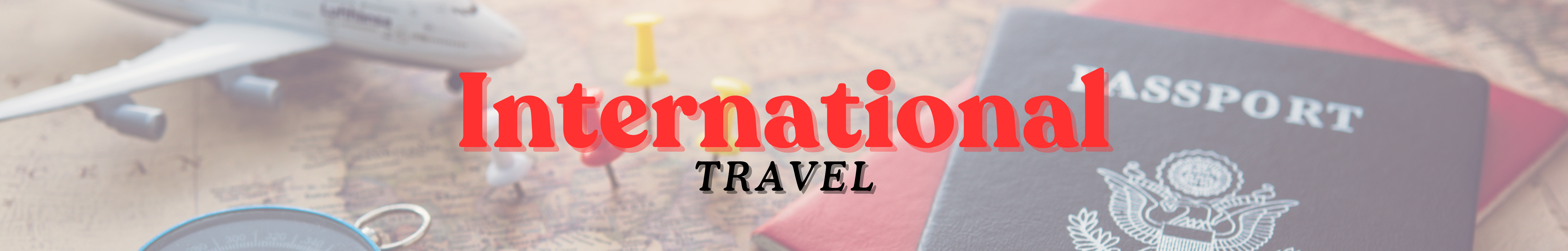 International Travel 75 x 12 in